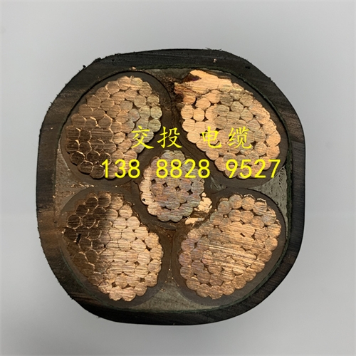 www.nhnemy.com