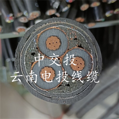 www.nhnemy.com