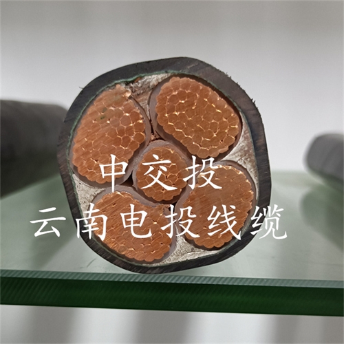 www.nhnemy.com