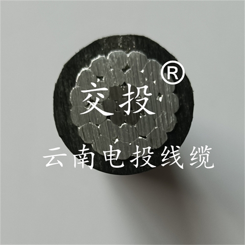 www.nhnemy.com